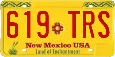 NM license plate 619TRS
