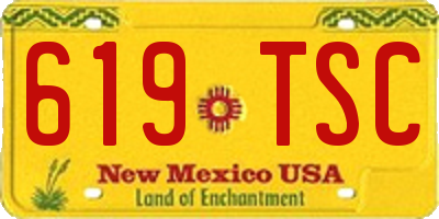 NM license plate 619TSC