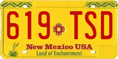 NM license plate 619TSD