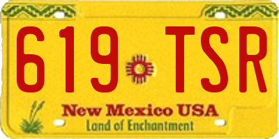 NM license plate 619TSR