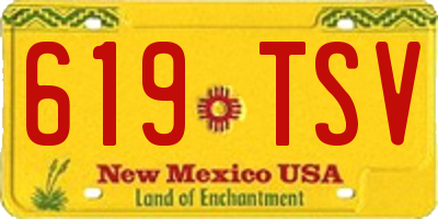 NM license plate 619TSV