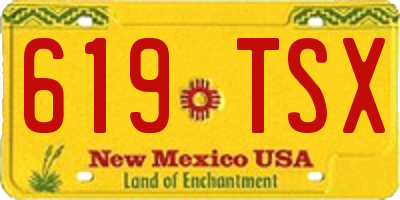NM license plate 619TSX