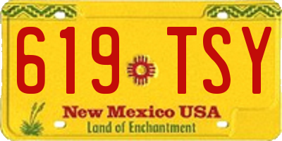 NM license plate 619TSY