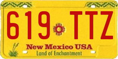 NM license plate 619TTZ