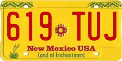 NM license plate 619TUJ