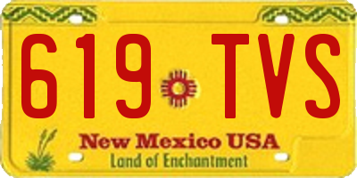 NM license plate 619TVS