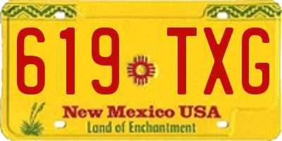 NM license plate 619TXG