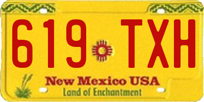 NM license plate 619TXH