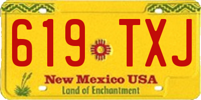 NM license plate 619TXJ