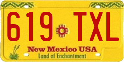 NM license plate 619TXL