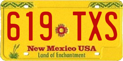 NM license plate 619TXS