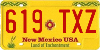 NM license plate 619TXZ
