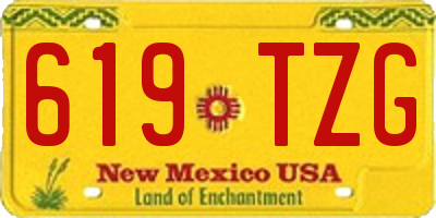 NM license plate 619TZG
