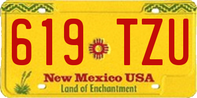 NM license plate 619TZU