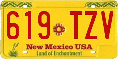 NM license plate 619TZV