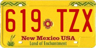 NM license plate 619TZX