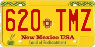NM license plate 620TMZ