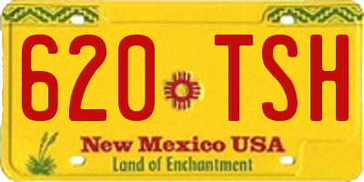 NM license plate 620TSH