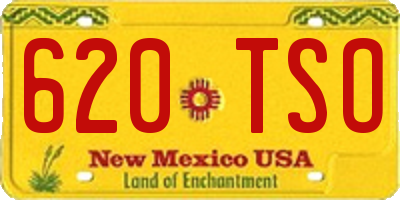 NM license plate 620TSO