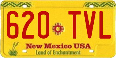 NM license plate 620TVL
