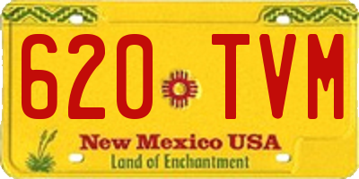 NM license plate 620TVM