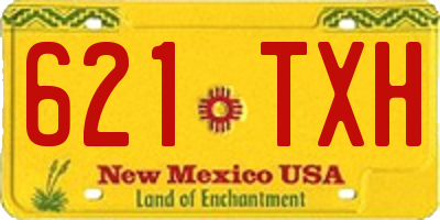 NM license plate 621TXH