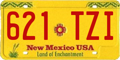 NM license plate 621TZI