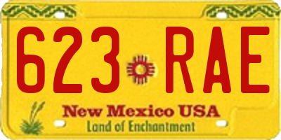 NM license plate 623RAE