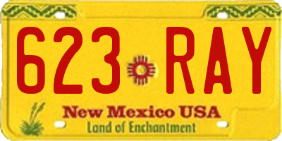 NM license plate 623RAY