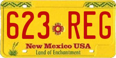 NM license plate 623REG