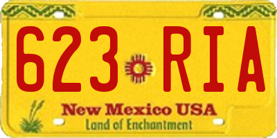 NM license plate 623RIA