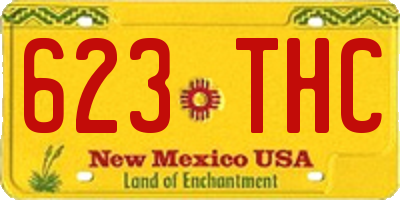 NM license plate 623THC