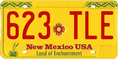 NM license plate 623TLE