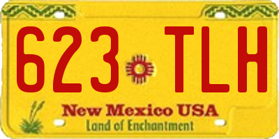 NM license plate 623TLH