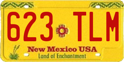 NM license plate 623TLM