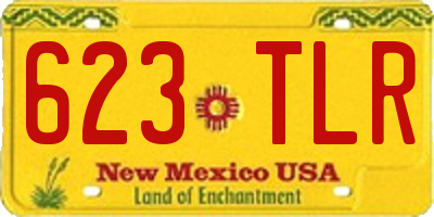NM license plate 623TLR