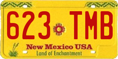 NM license plate 623TMB