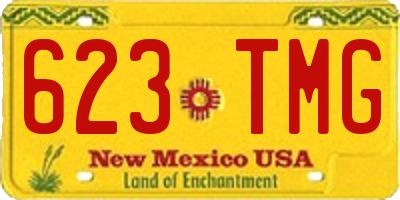 NM license plate 623TMG