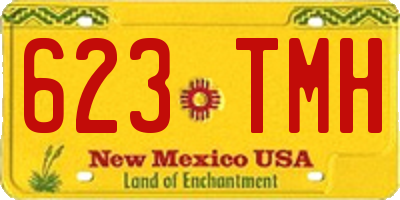 NM license plate 623TMH
