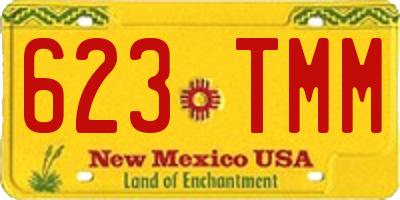 NM license plate 623TMM