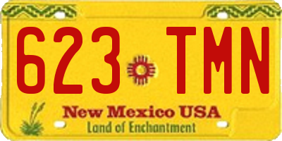 NM license plate 623TMN