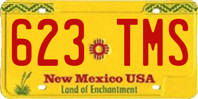 NM license plate 623TMS