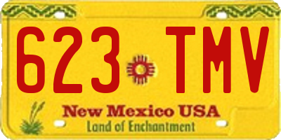 NM license plate 623TMV