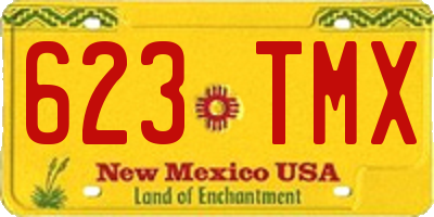 NM license plate 623TMX