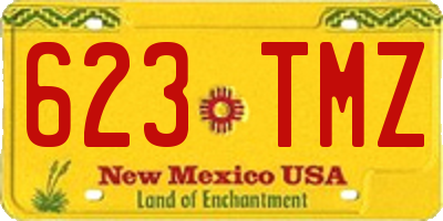 NM license plate 623TMZ