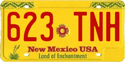 NM license plate 623TNH
