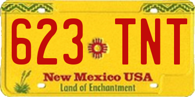 NM license plate 623TNT