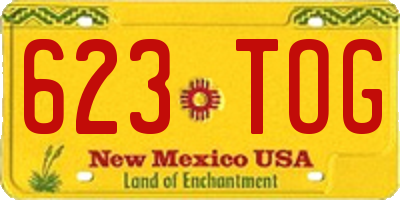 NM license plate 623TOG