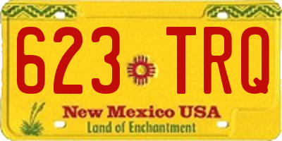 NM license plate 623TRQ