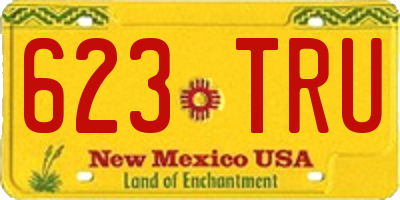NM license plate 623TRU